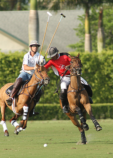 alexpacheco polomag