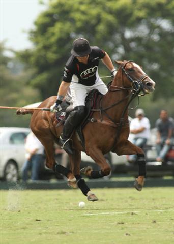polo magazine polophotos alex pacheco us open florida ipc polo club erg polo team audi polo team